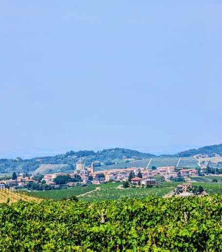 Casa dei Leoni - Fontanile