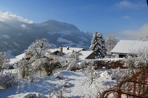 Home for sale - Erlenbach i.S.