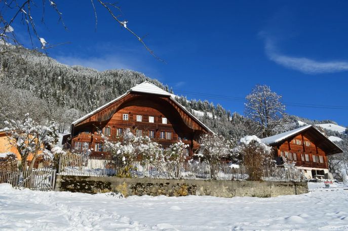 Swiss Mountain-Valley View Lodge