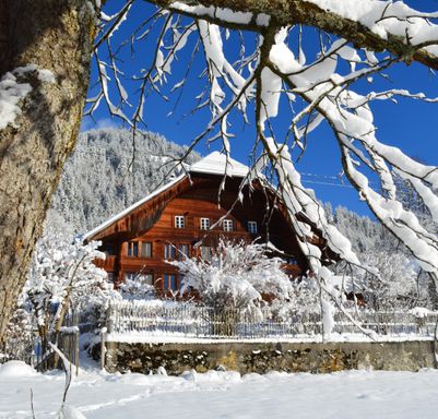 Home for sale - Erlenbach i.S.