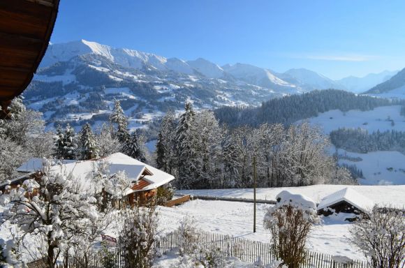 Home for sale - Erlenbach i.S.